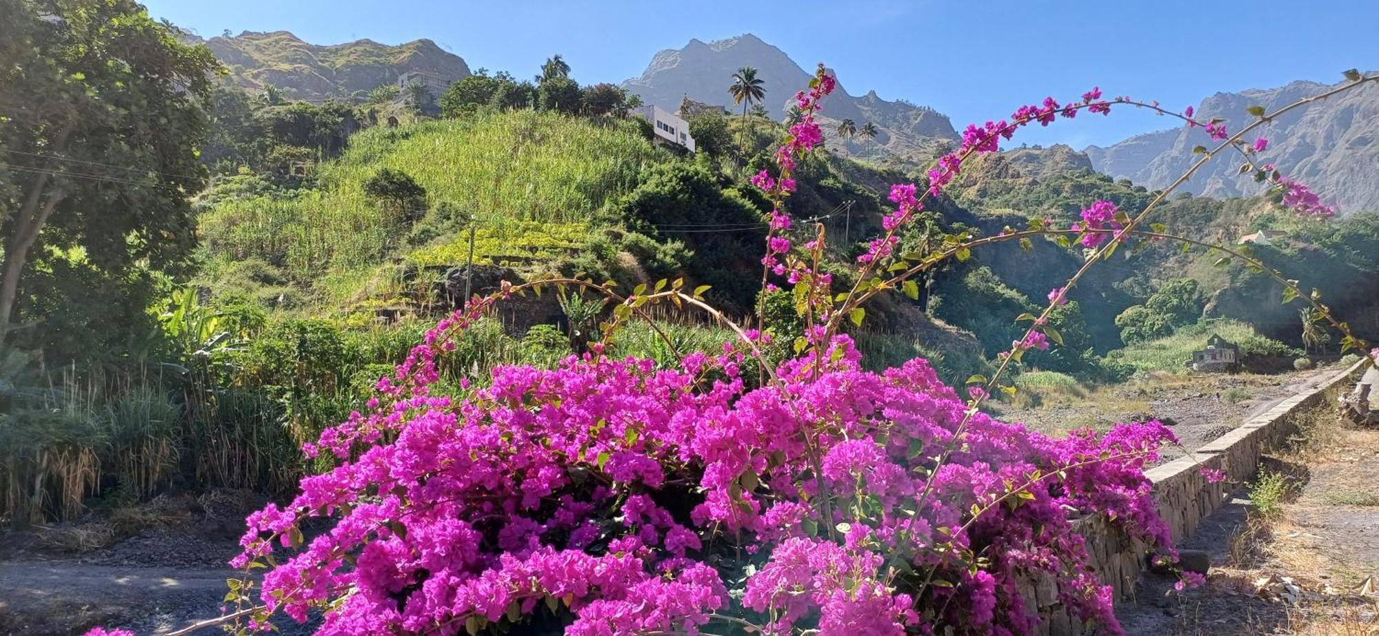 Appartamento Casa Au Bonheur Des Randonneurs Ponta Do Sol Esterno foto